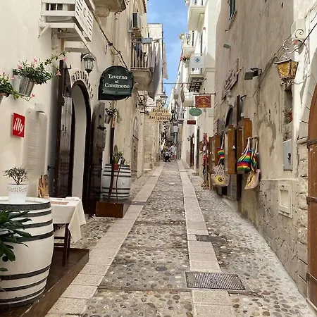 Apartment Cozy Sea View Studio With Private Rooftop, Balcony, Bbq In The Old Town *