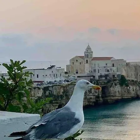 Cozy Sea View Studio With Private Rooftop, Balcony, Bbq In The Old Town Apartment